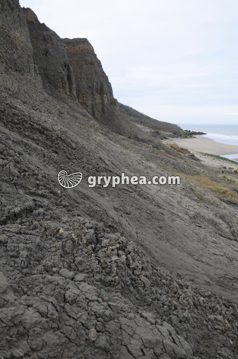 Erosion en pays argileux (falaise des Vaches noires, Calvados, France) - gryphea.org